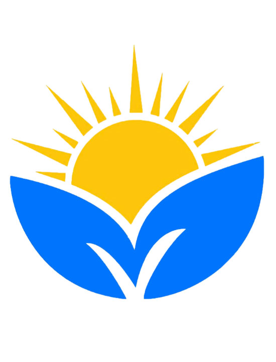Eco-friendly or sustainable energy logo featuring sun and leaves symbol
