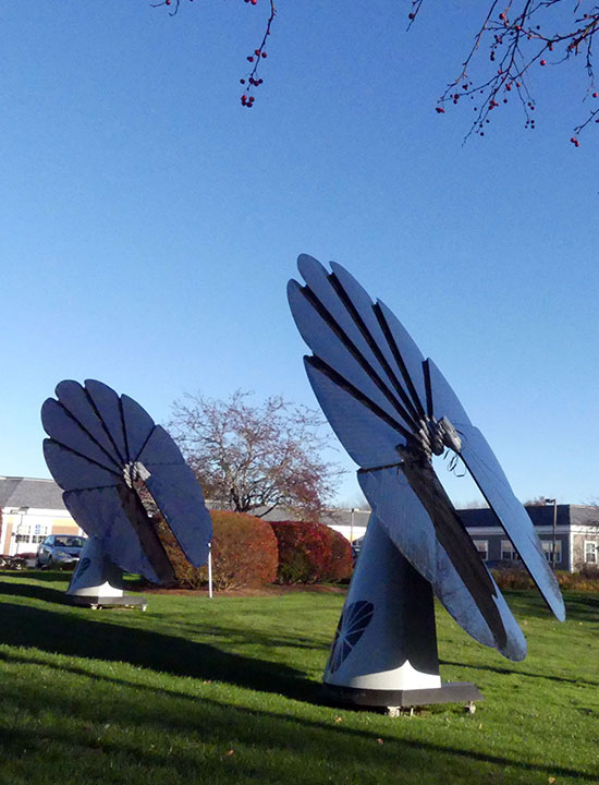 SmartFlower solar units tilted toward the sun on a clear day in a landscaped area
